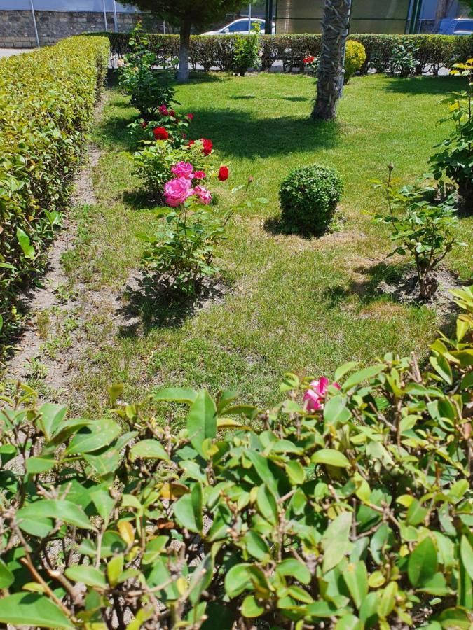 Sheki Avtovagzal Motel Eksteriør bilde